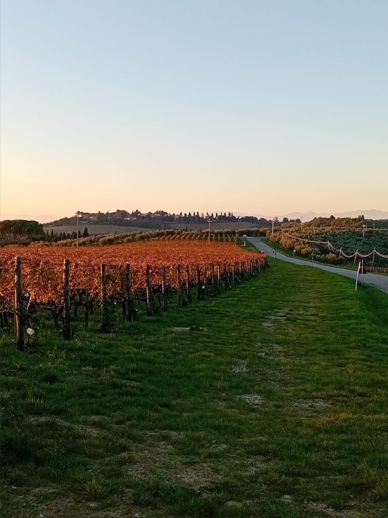 Esplorazione