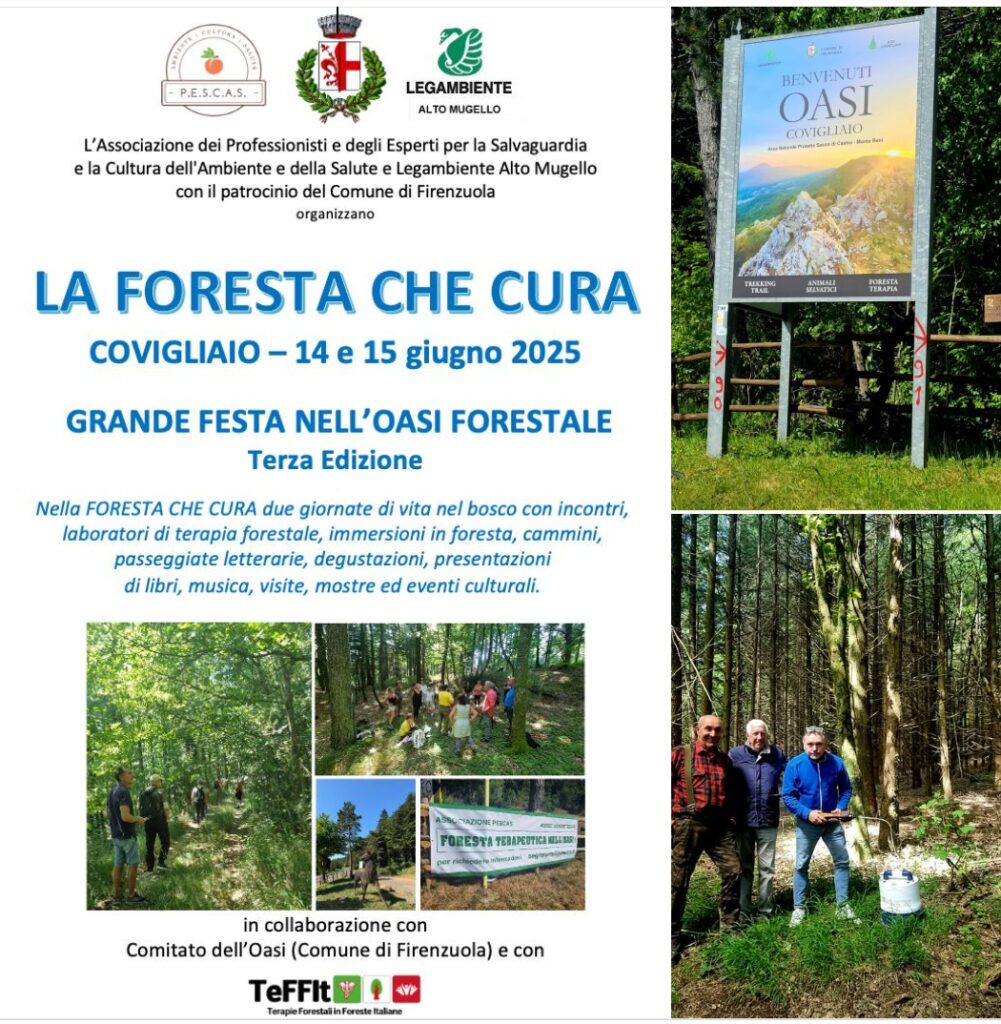 Giugno 2
